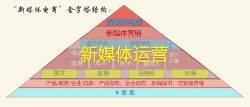 新媒体运营中的技术赋能 从流量获取到价值深挖